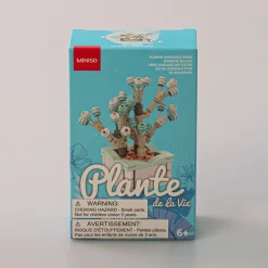 MINISO Costruzione - Pianta Grassa Best
