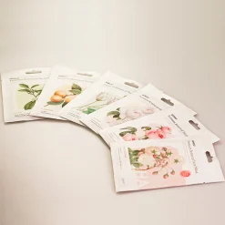 MINISO Premium Botanica Facial Mask - Caring Outlet